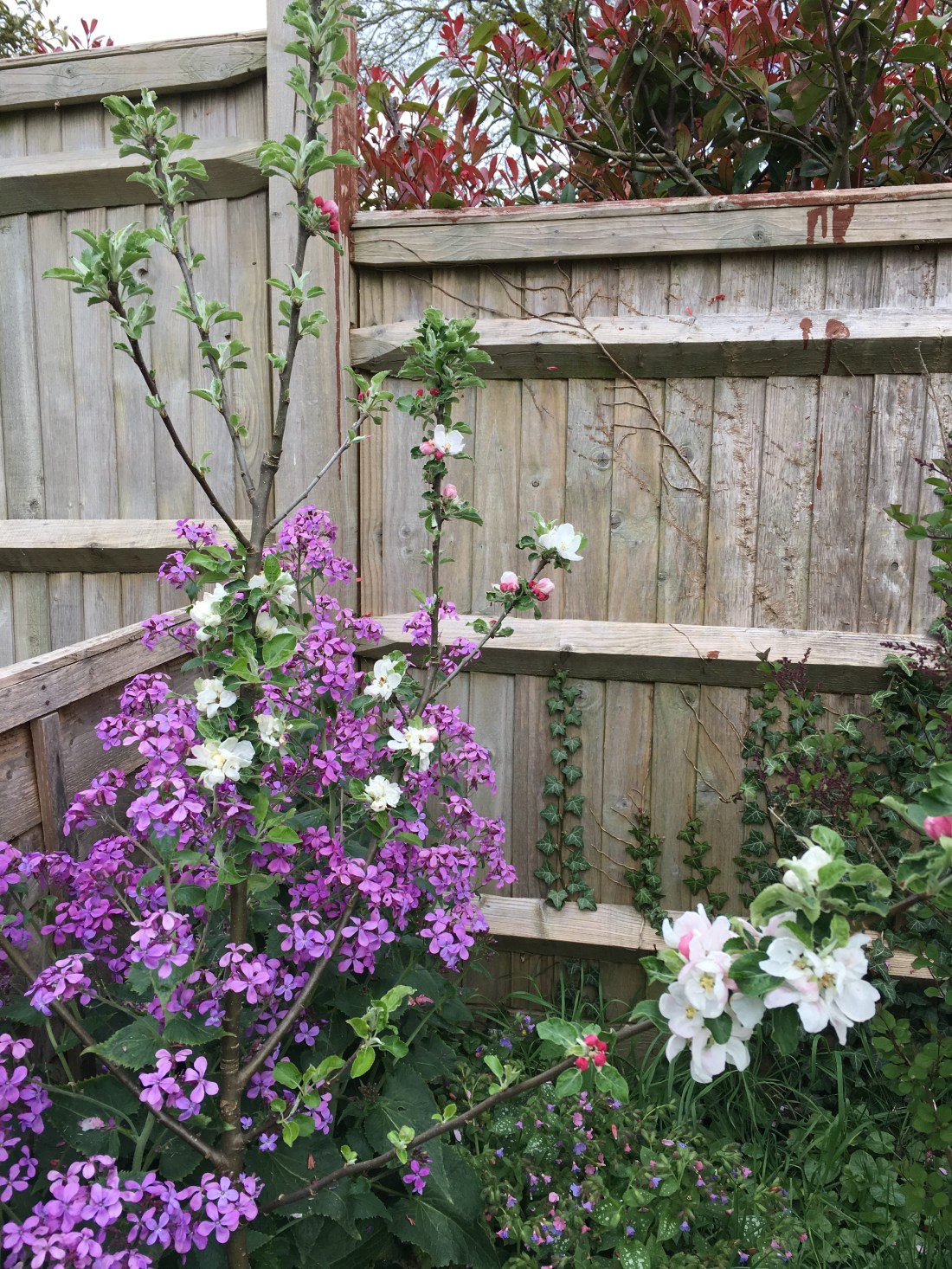 Photo 26-04-2019, 16 02 35