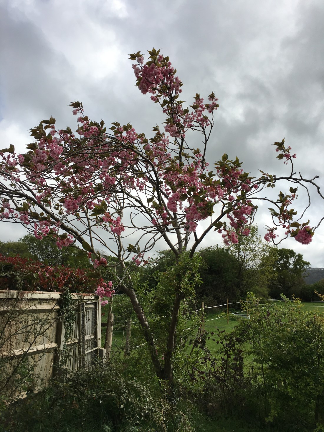 Photo 26-04-2019, 16 03 49