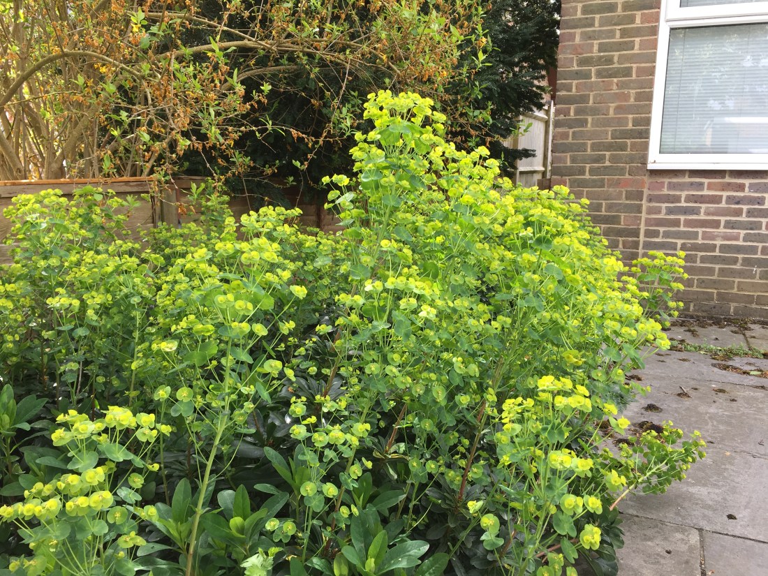 Photo 27-04-2019, 10 50 18