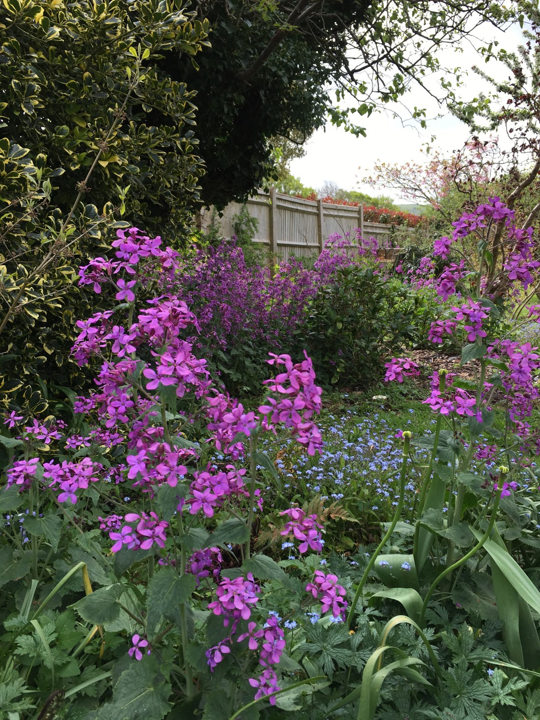 Photo 27-04-2019, 10 51 59