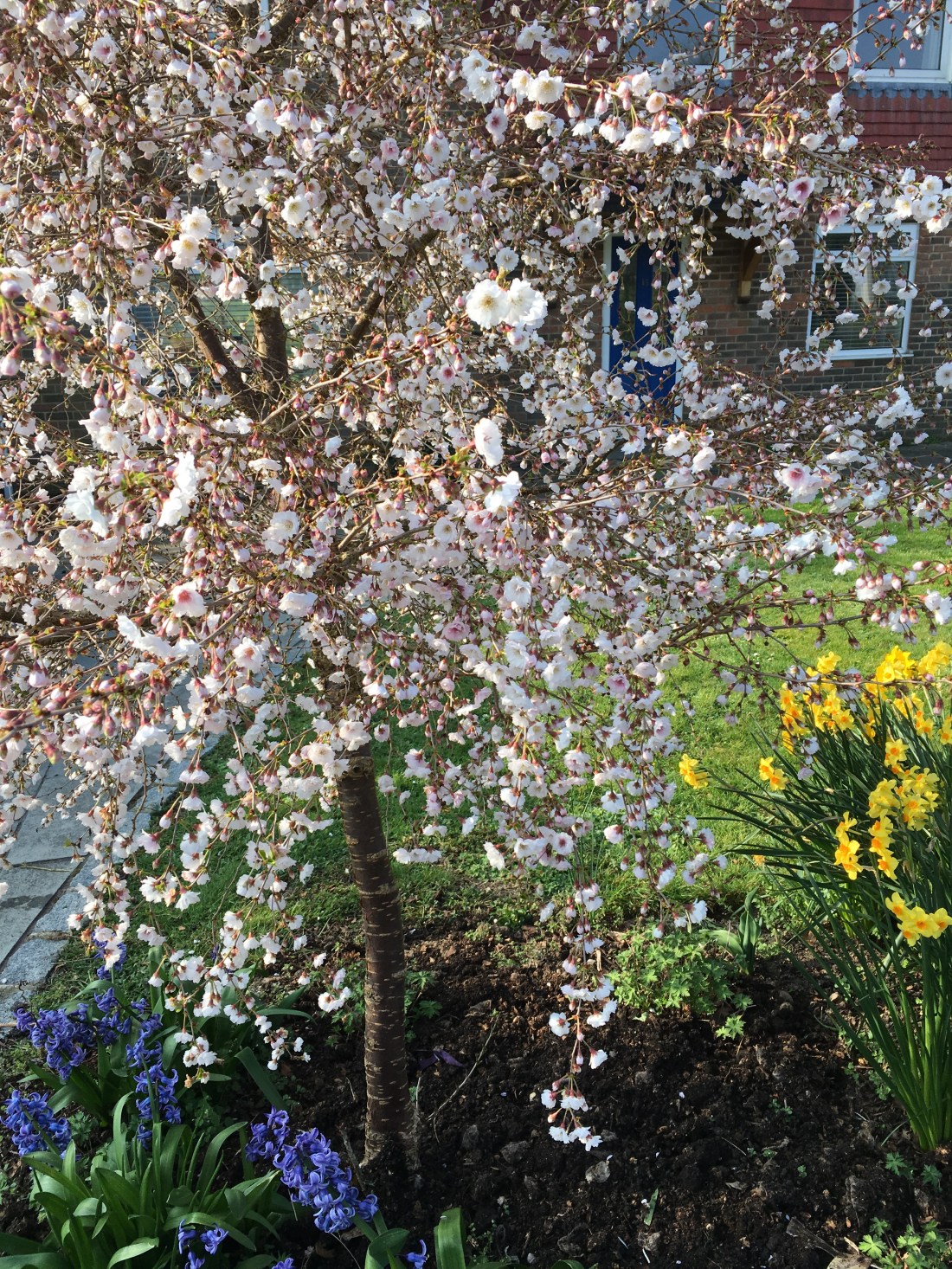 Photo 30-03-2019, 08 40 52