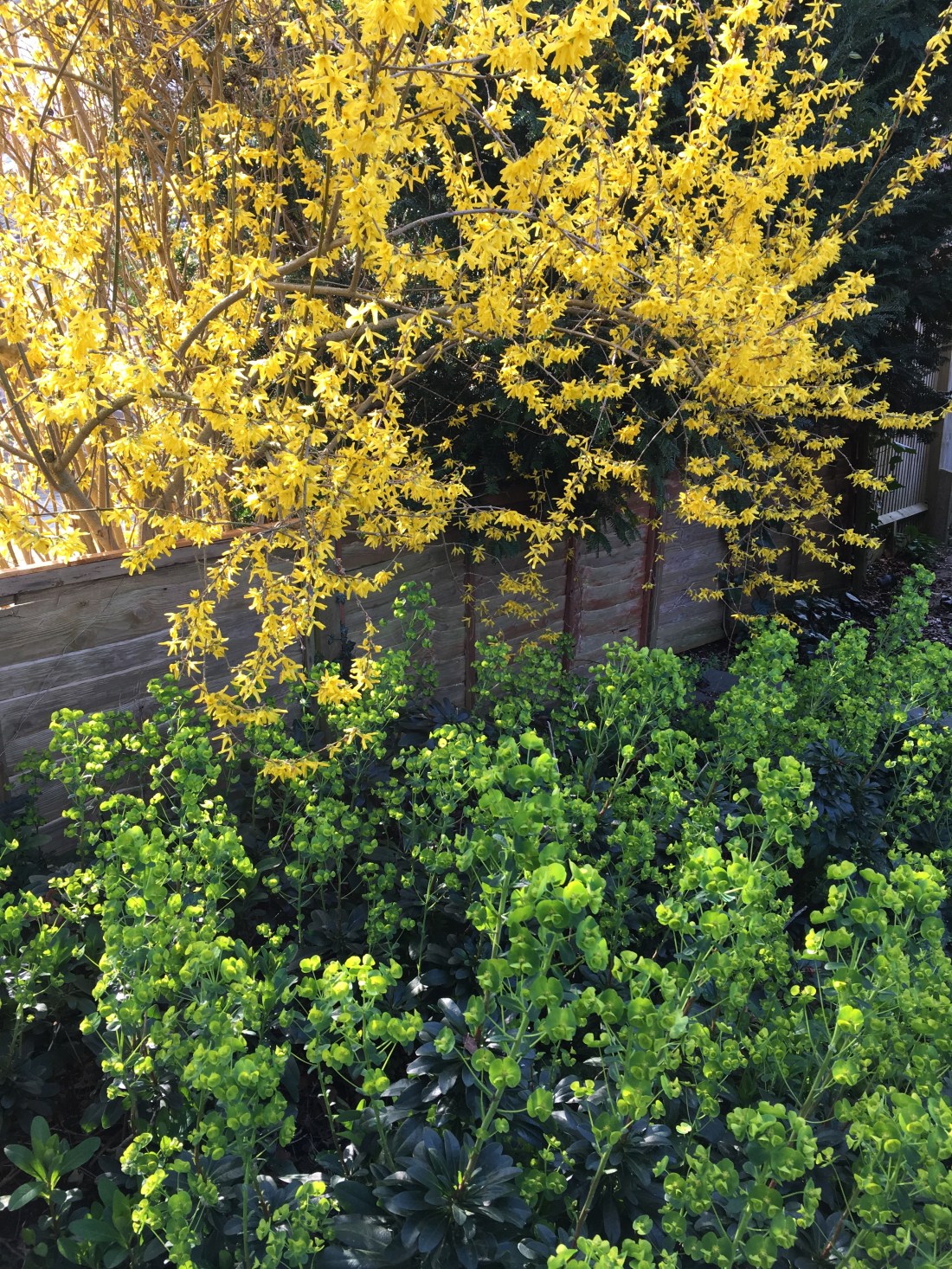 Photo 30-03-2019, 08 41 16