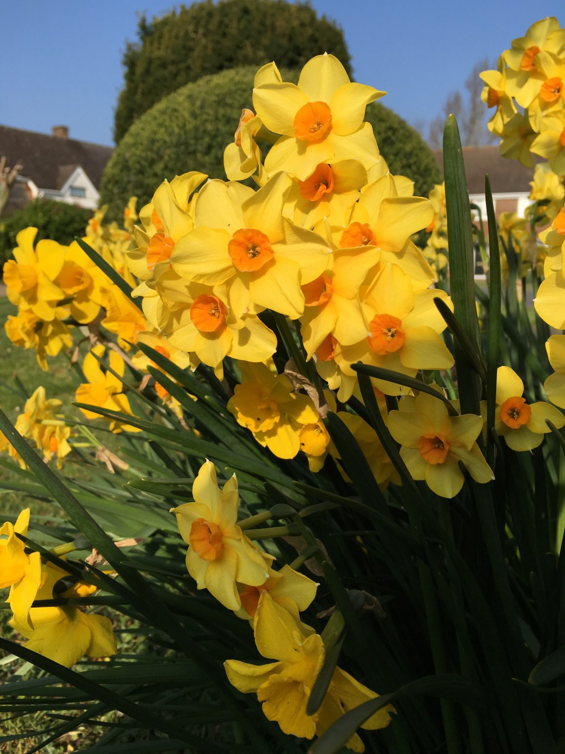 Photo 30-03-2019, 08 41 48