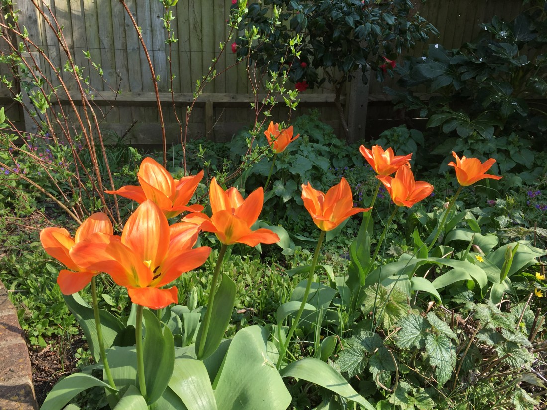 Photo 30-03-2019, 13 32 09