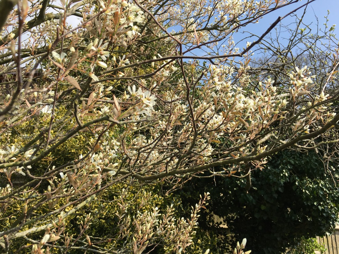 Photo 30-03-2019, 13 33 03