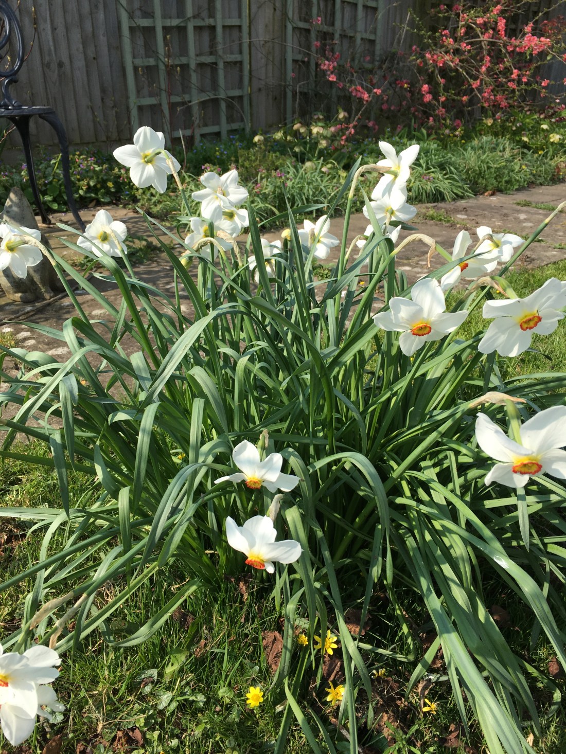 Photo 30-03-2019, 13 34 37